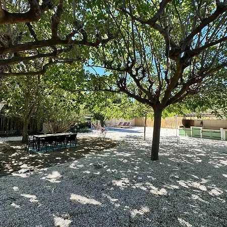 La Guinguette Sous Les Muriers Perpignan