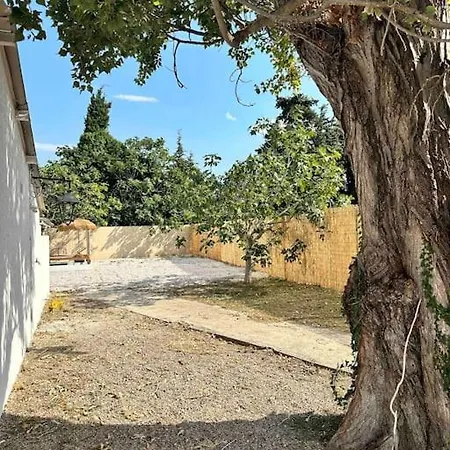 La Guinguette Sous Les Muriers Perpignan